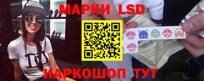 индика Нальчик