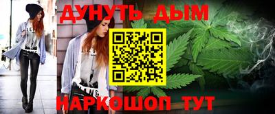 индика Нальчик