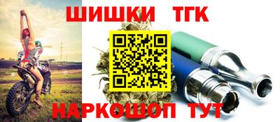 индика Нальчик