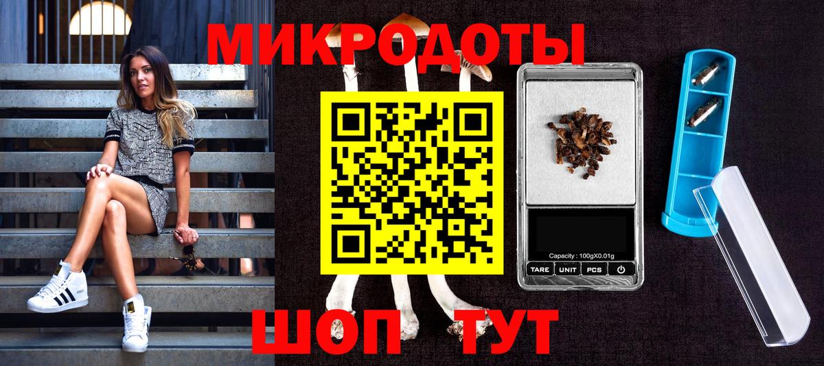 Тельмана  Псилоцибиновые грибы MAGIC MUSHROOMS  Вход с VPN 